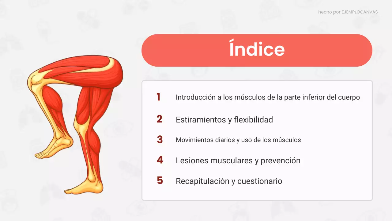 Presentación de la conferencia sobre anatomía moderna roja