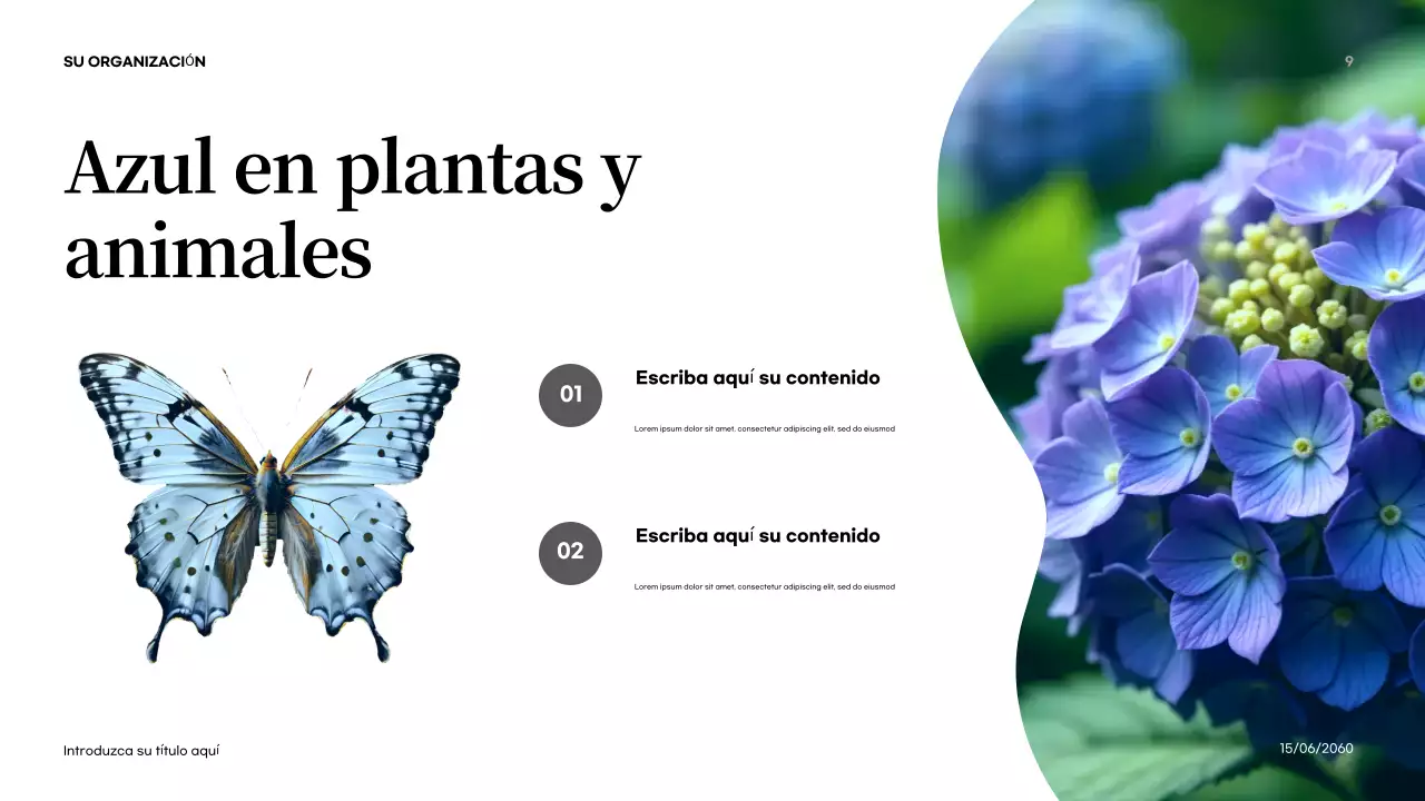 Presentación de introducción a la naturaleza abstracta naranja