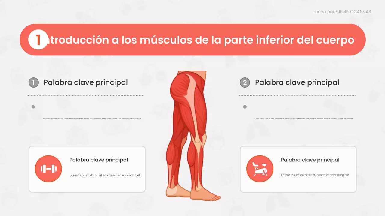 Presentación de la conferencia sobre anatomía moderna roja