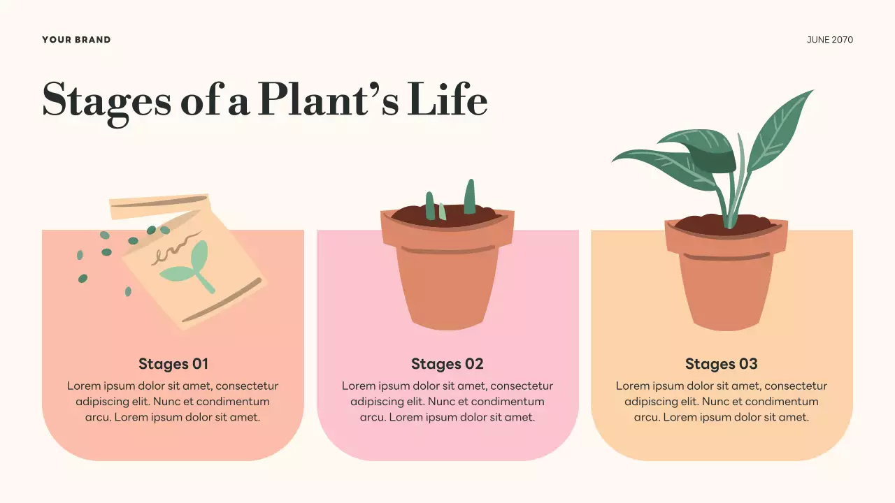 Green Botanical Life Cycles Presentation