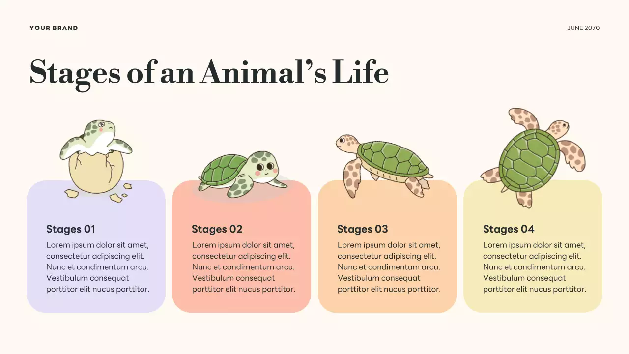 Green Botanical Life Cycles Presentation