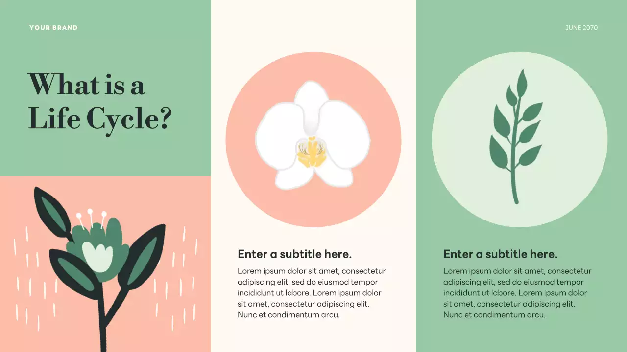 Green Botanical Life Cycles Presentation