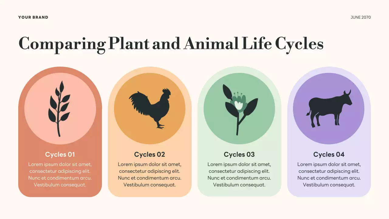 Green Botanical Life Cycles Presentation