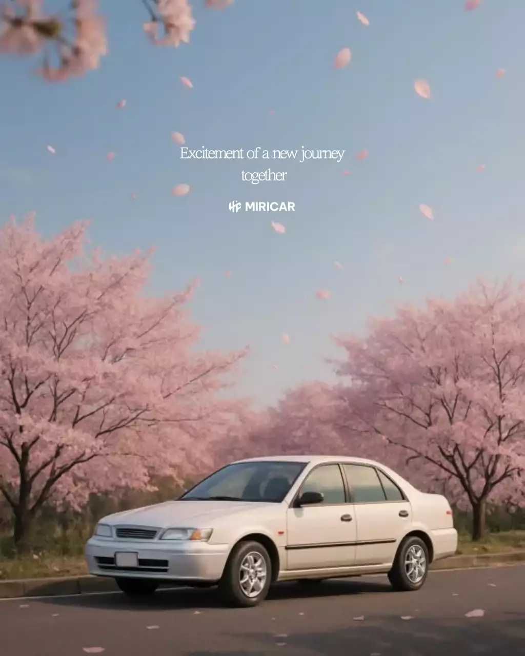 pink simple car ad