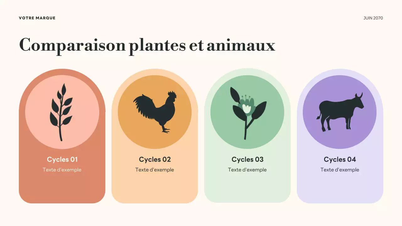 Présentation des cycles de vie botaniques verts