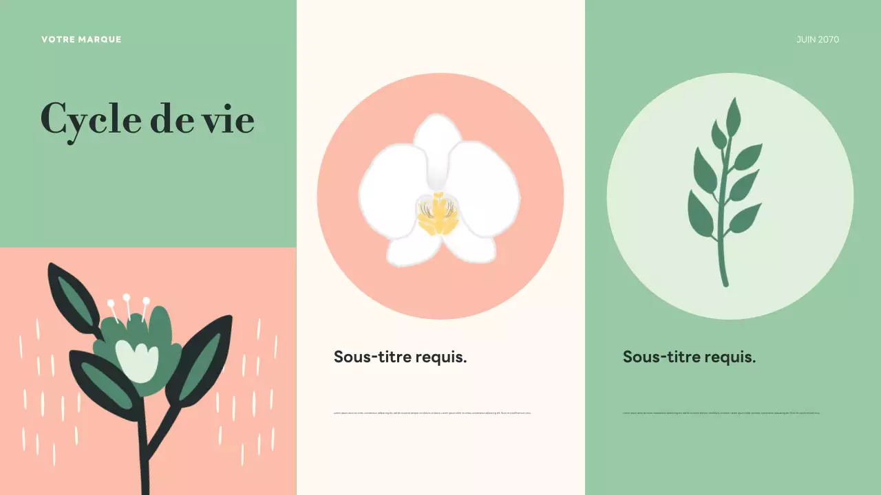 Présentation des cycles de vie botaniques verts