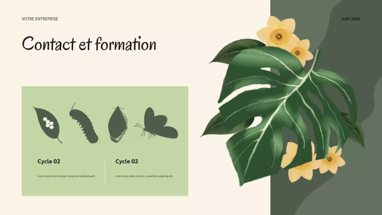 Présentation des cycles de vie de la nature botanique de la sauge