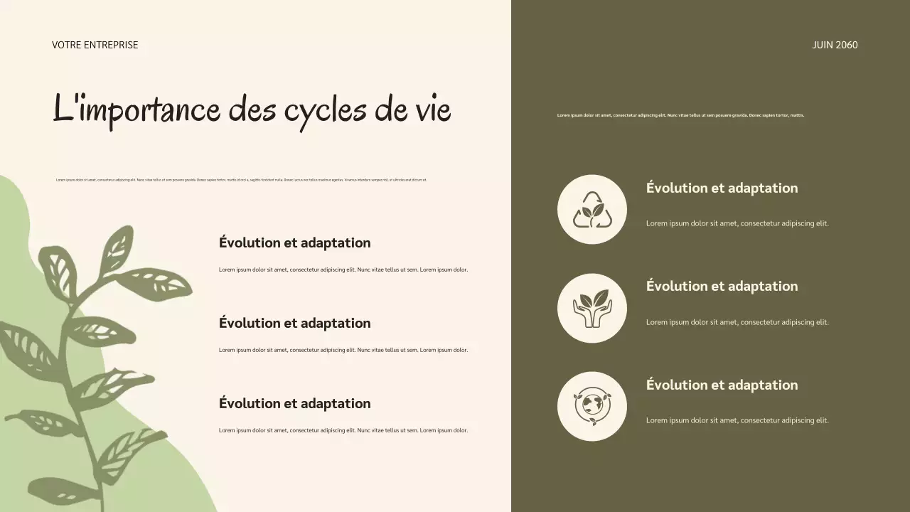 Présentation des cycles de vie de la nature botanique de la sauge