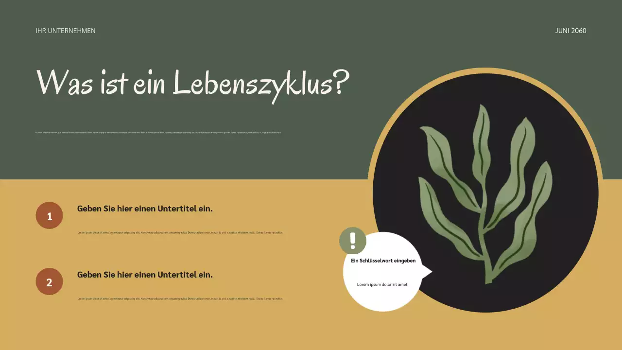 Salbei Botanische Natur Lebenszyklen Präsentation
