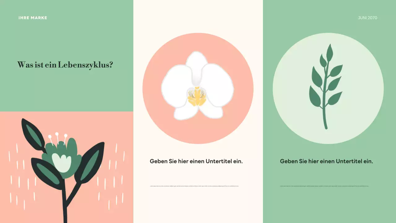 Grüne botanische Lebenszyklen Präsentation