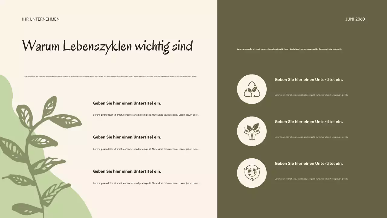 Salbei Botanische Natur Lebenszyklen Präsentation