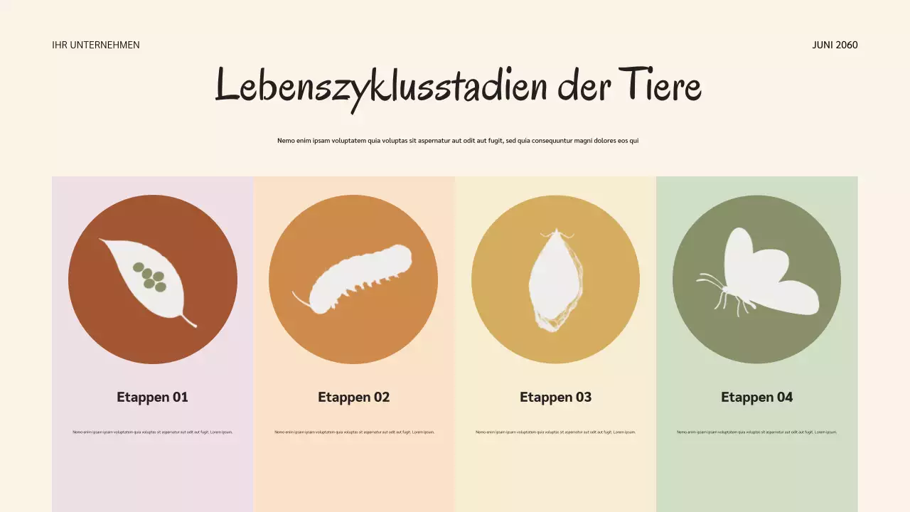 Salbei Botanische Natur Lebenszyklen Präsentation