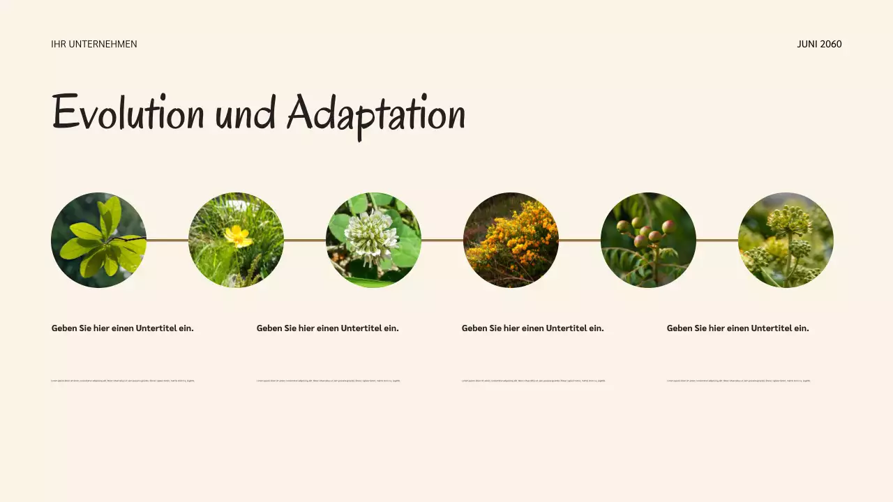 Salbei Botanische Natur Lebenszyklen Präsentation