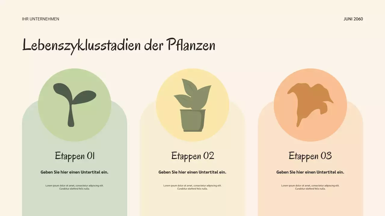 Salbei Botanische Natur Lebenszyklen Präsentation