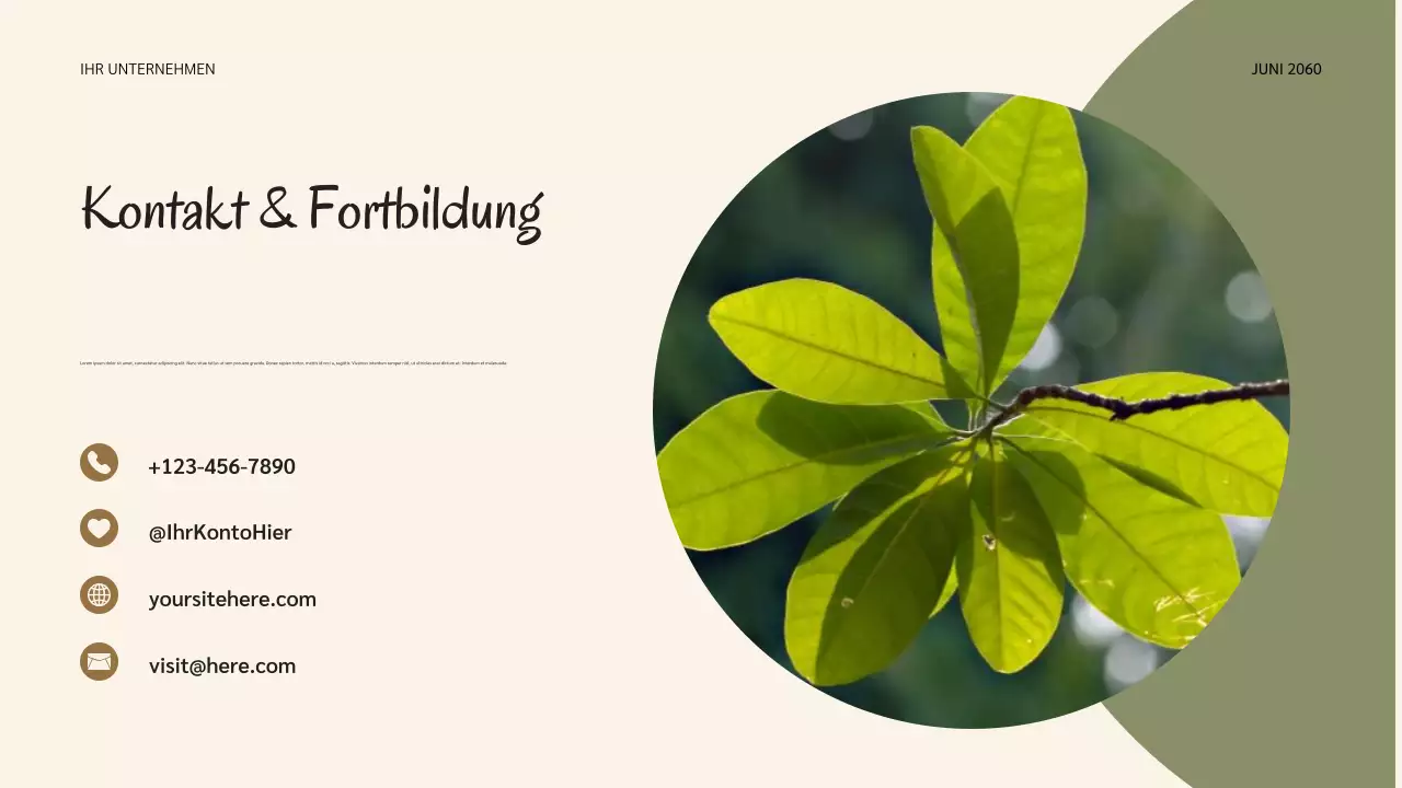 Salbei Botanische Natur Lebenszyklen Präsentation