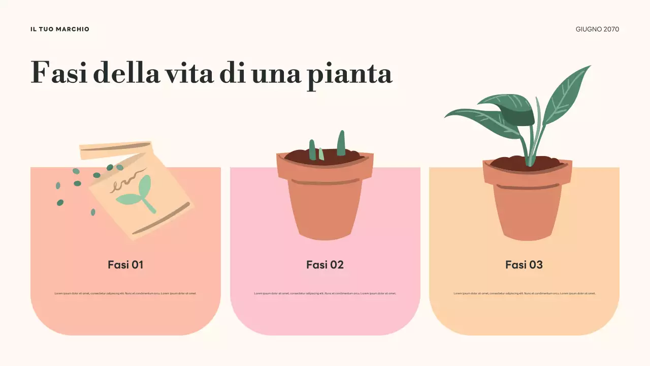 Presentazione sui cicli di vita botanici verdi
