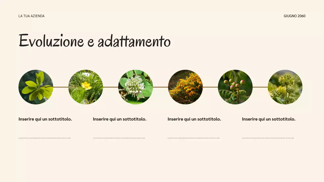 Presentazione sui cicli di vita della natura botanica della salvia