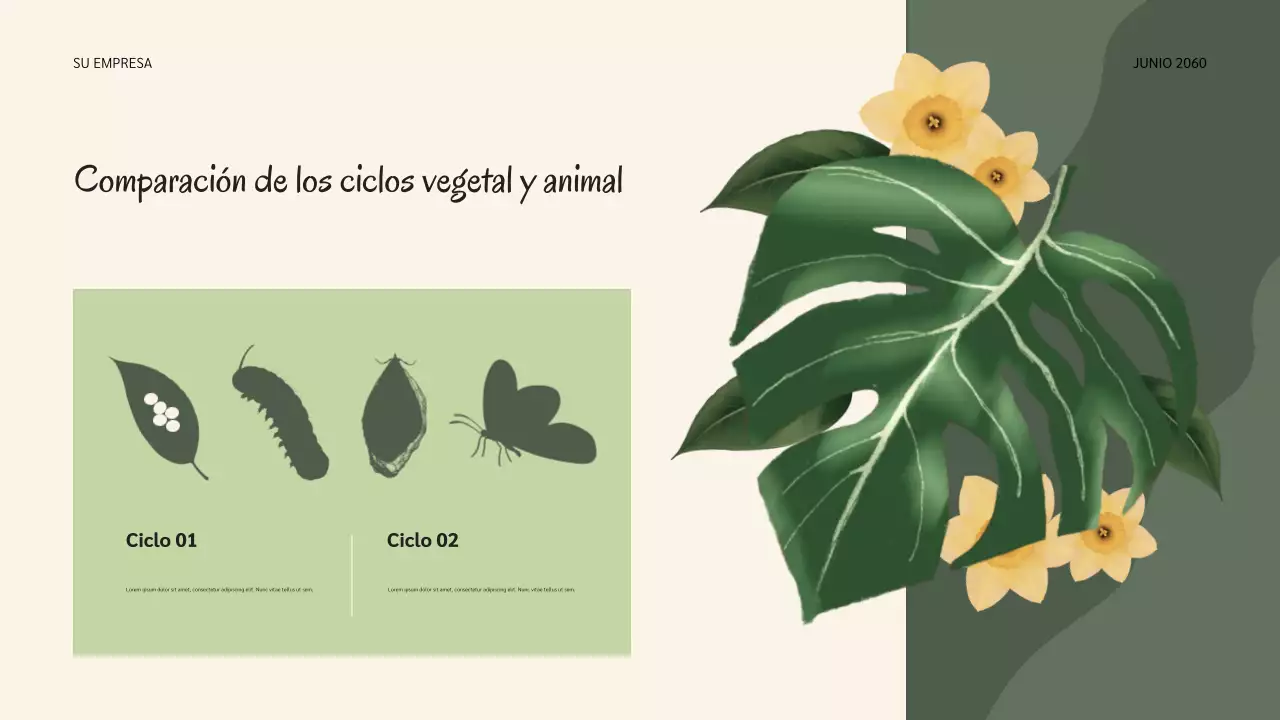 Presentación de los ciclos de vida de Sage Botanical Nature