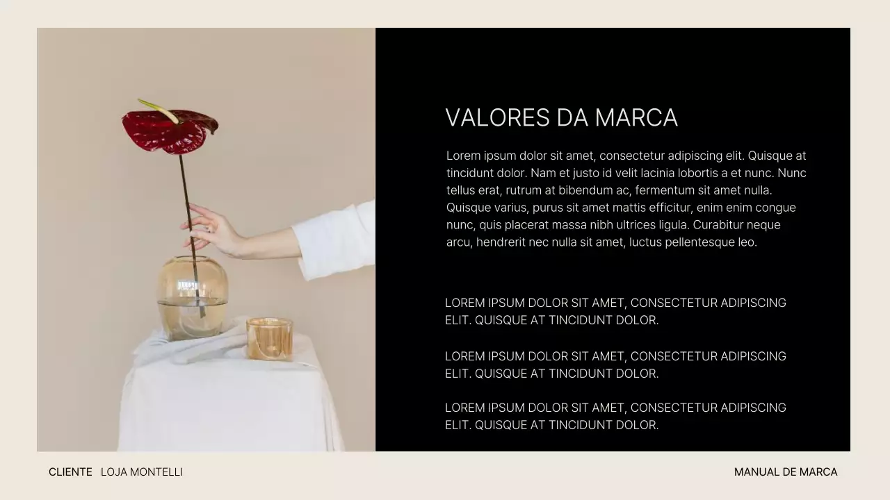 Apresentação do Manual de Moda Moderna Bege