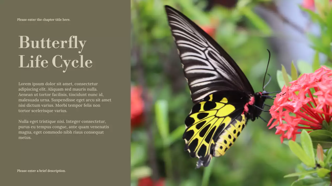 Presentasi Kuliah Siklus Hidup Minimal Sage di Alam