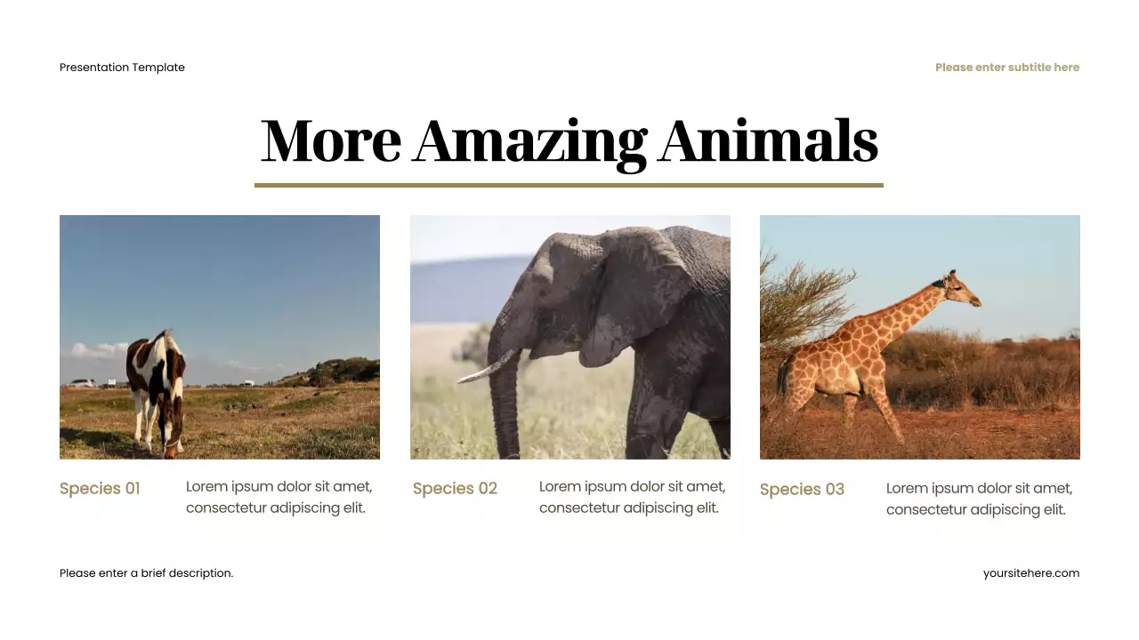 Brown Rustic Favorite Animal Presentation