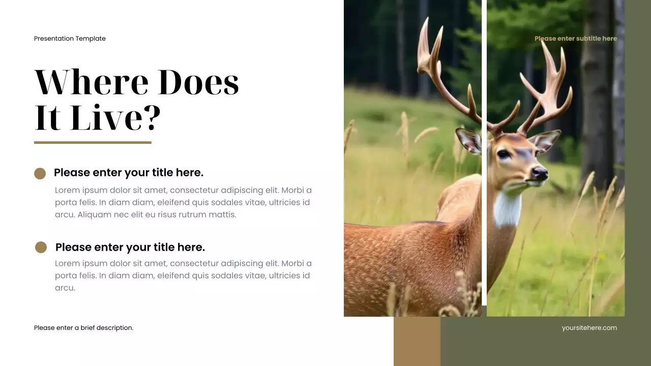 Brown Rustic Favorite Animal Presentation