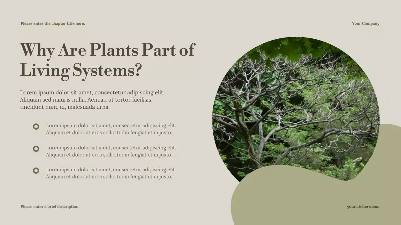 Presentasi Kuliah Siklus Hidup Minimal Sage di Alam