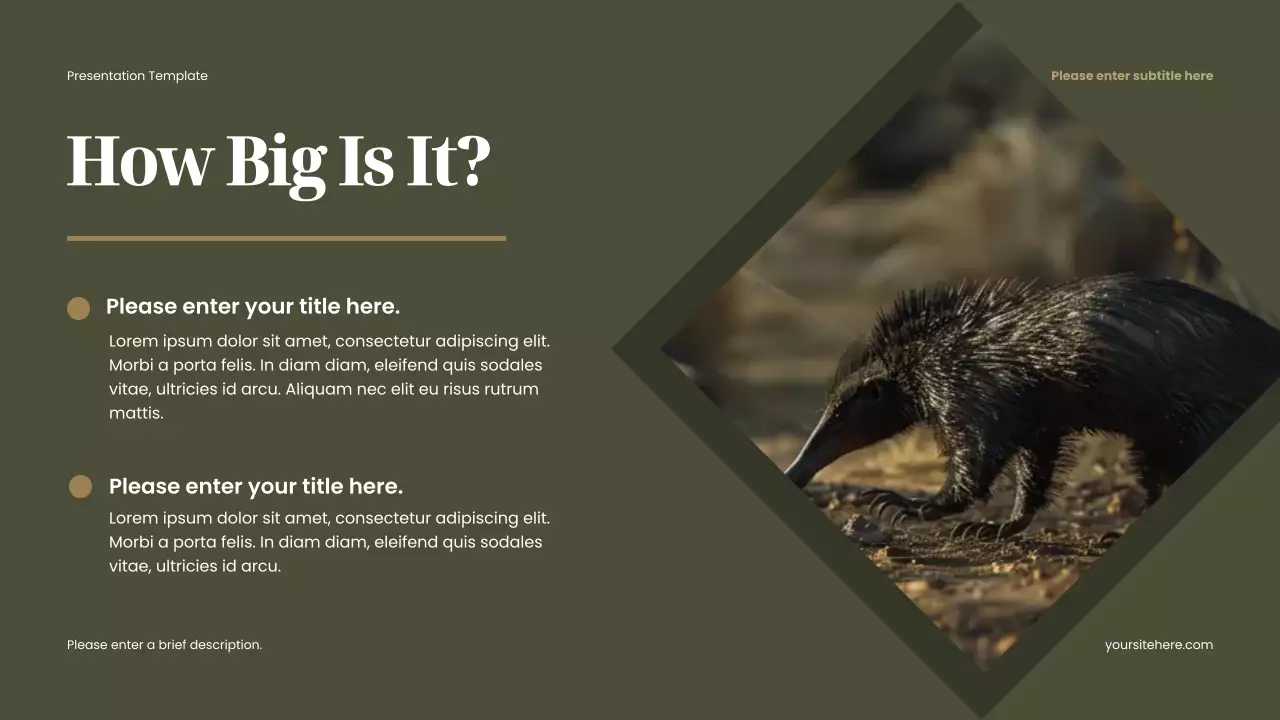 Brown Rustic Favorite Animal Presentation