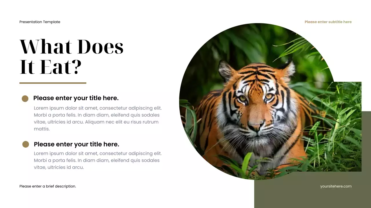 Brown Rustic Favorite Animal Presentation