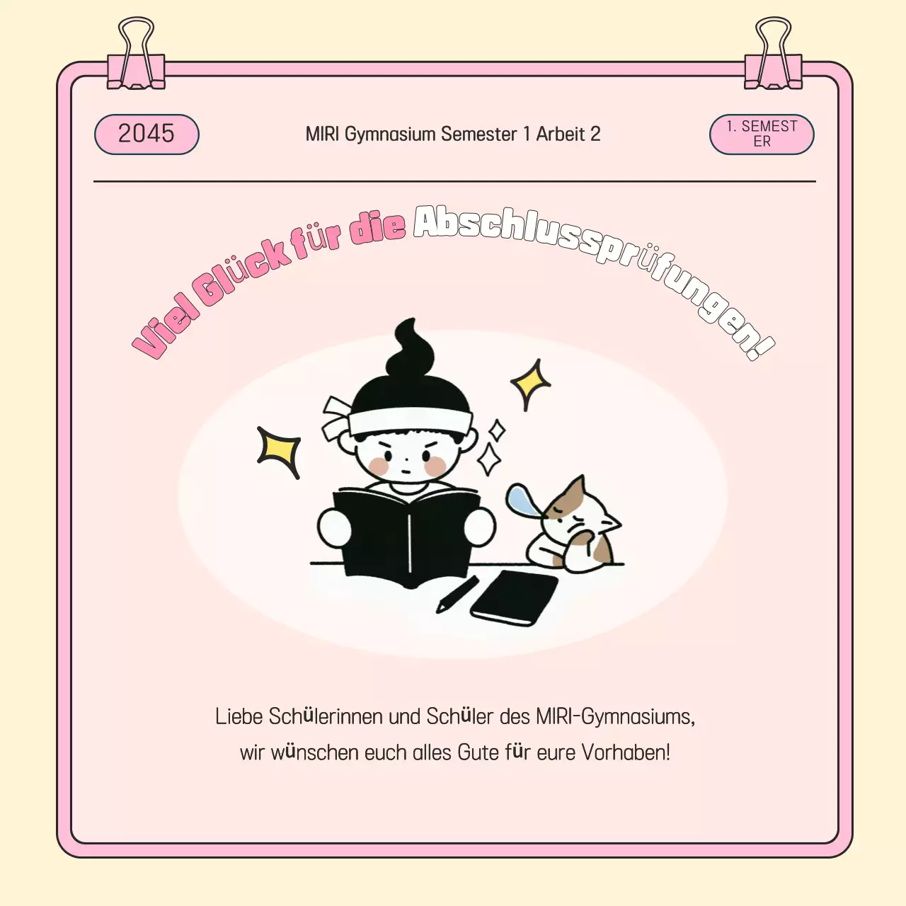 Pink Baby Testleitfaden