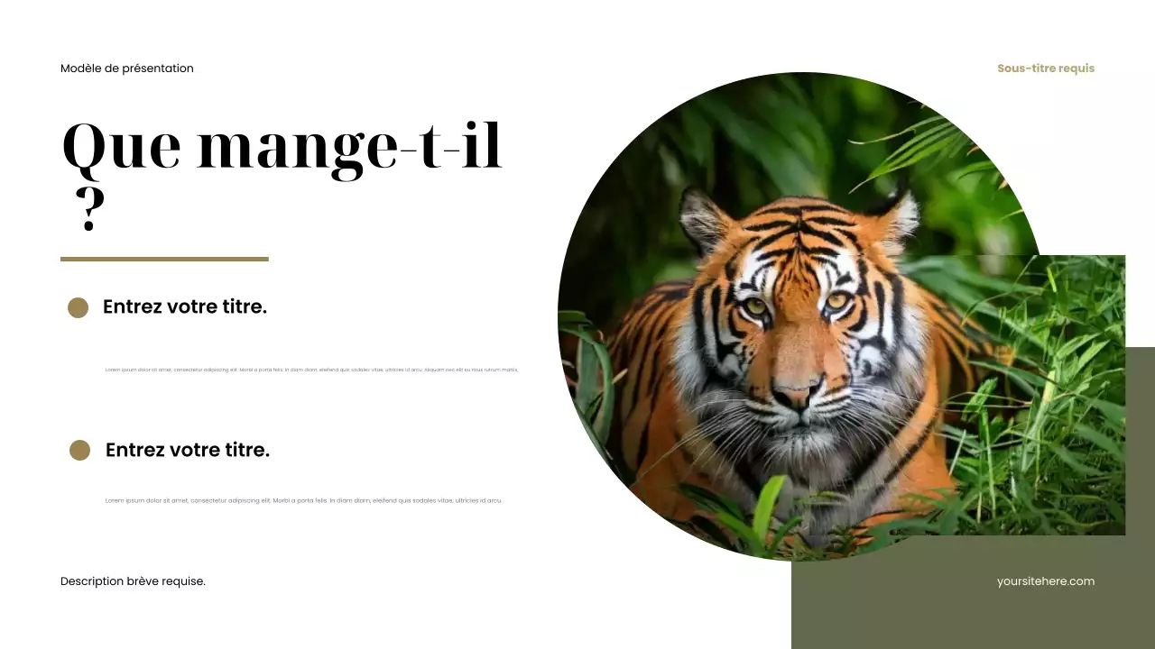 Présentation d'animaux rustiques bruns