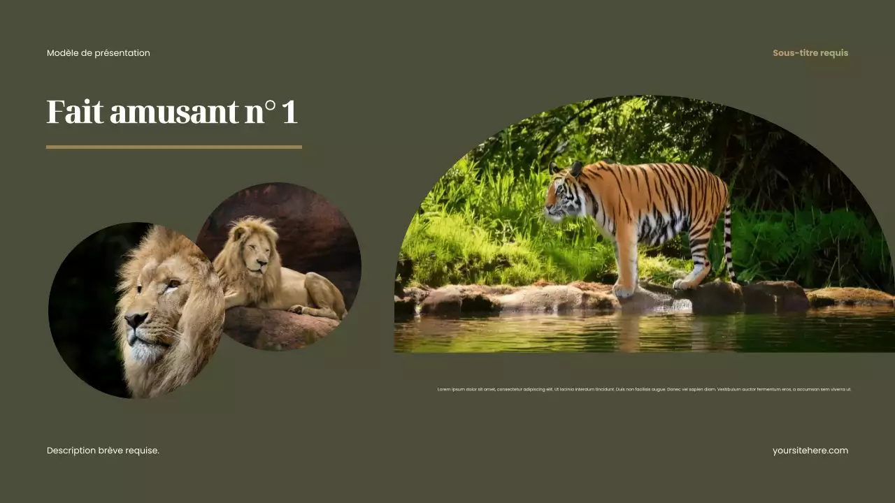 Présentation d'animaux rustiques bruns