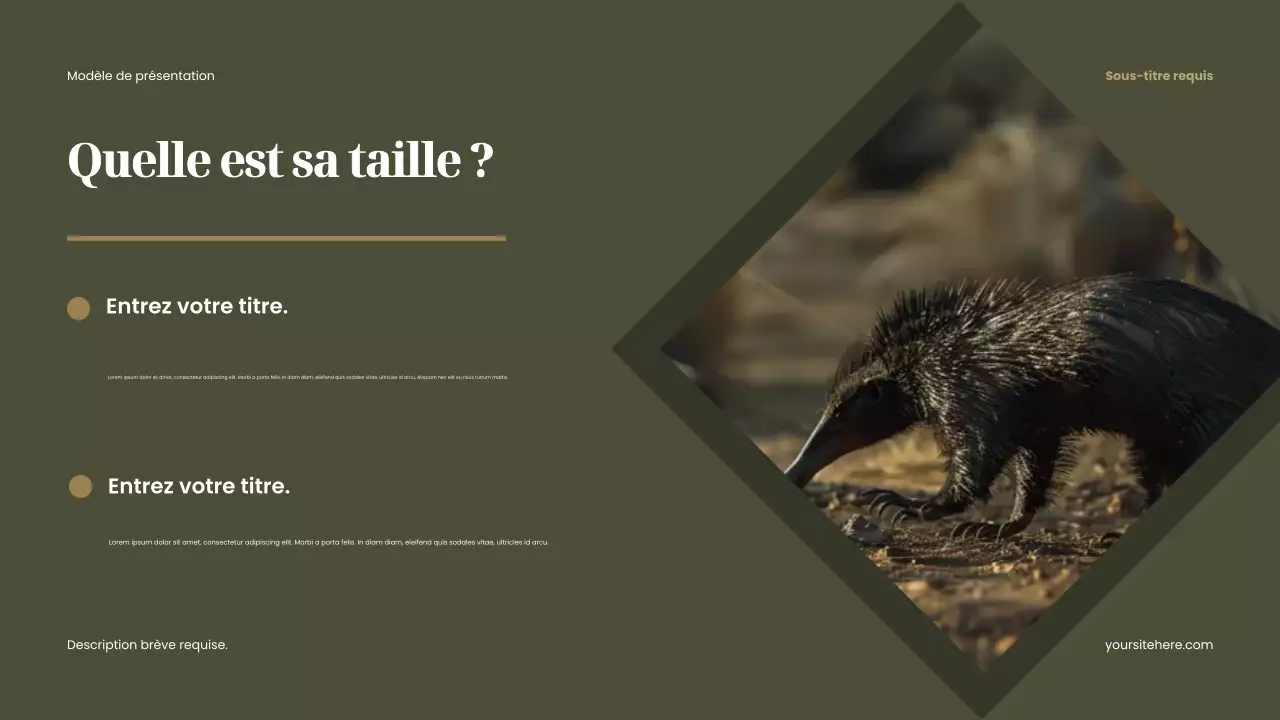 Présentation d'animaux rustiques bruns