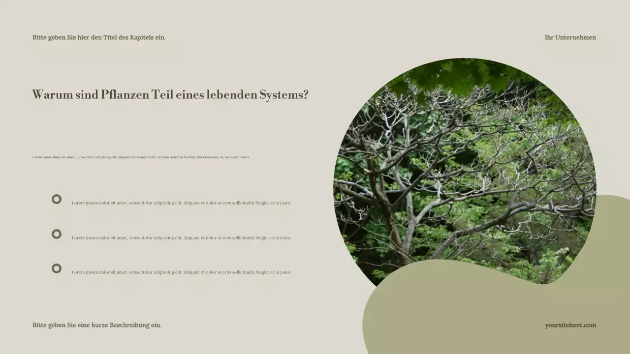 Sage Minimal Nature Guide Präsentation