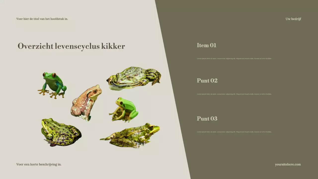 Presentatie van de Sage Minimal Nature Guide