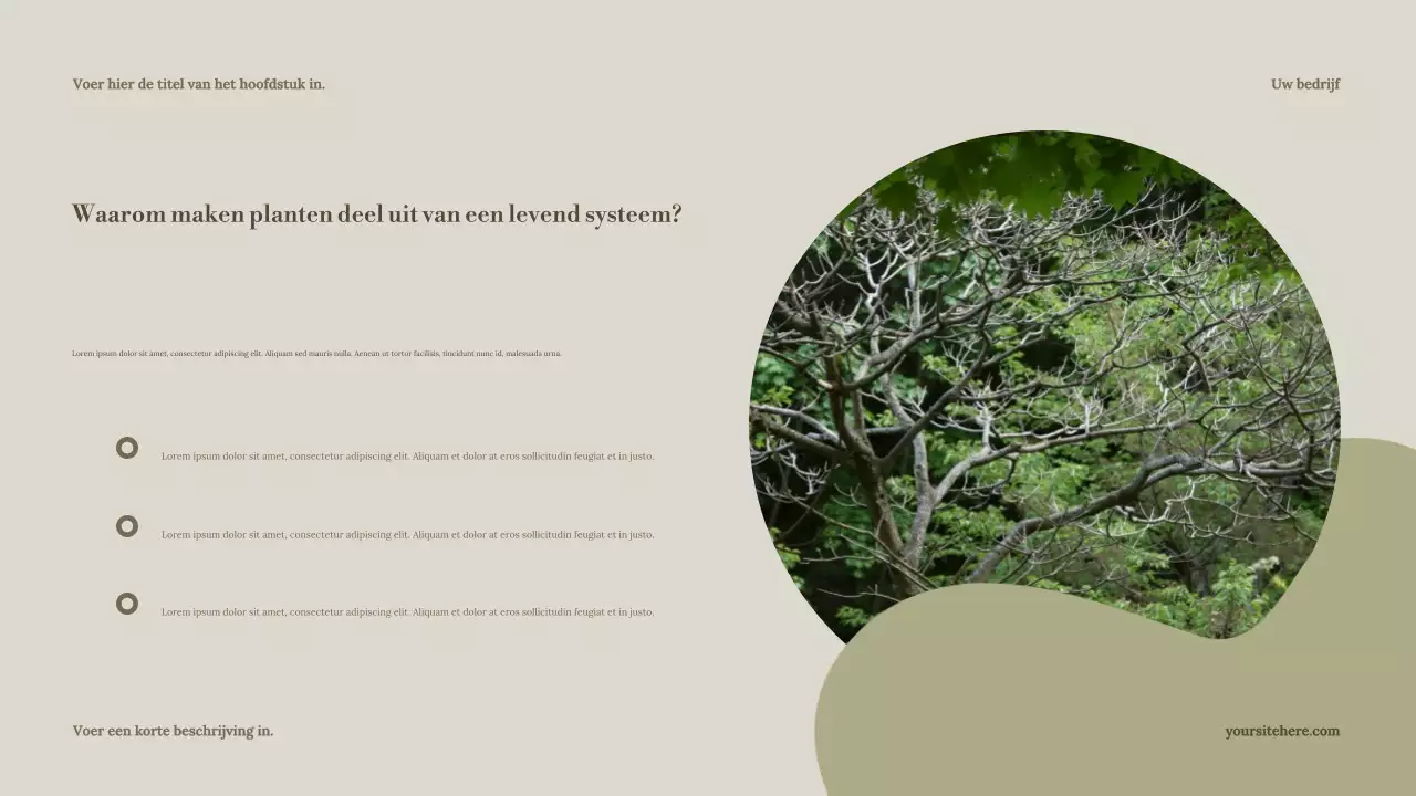 Presentatie van de Sage Minimal Nature Guide