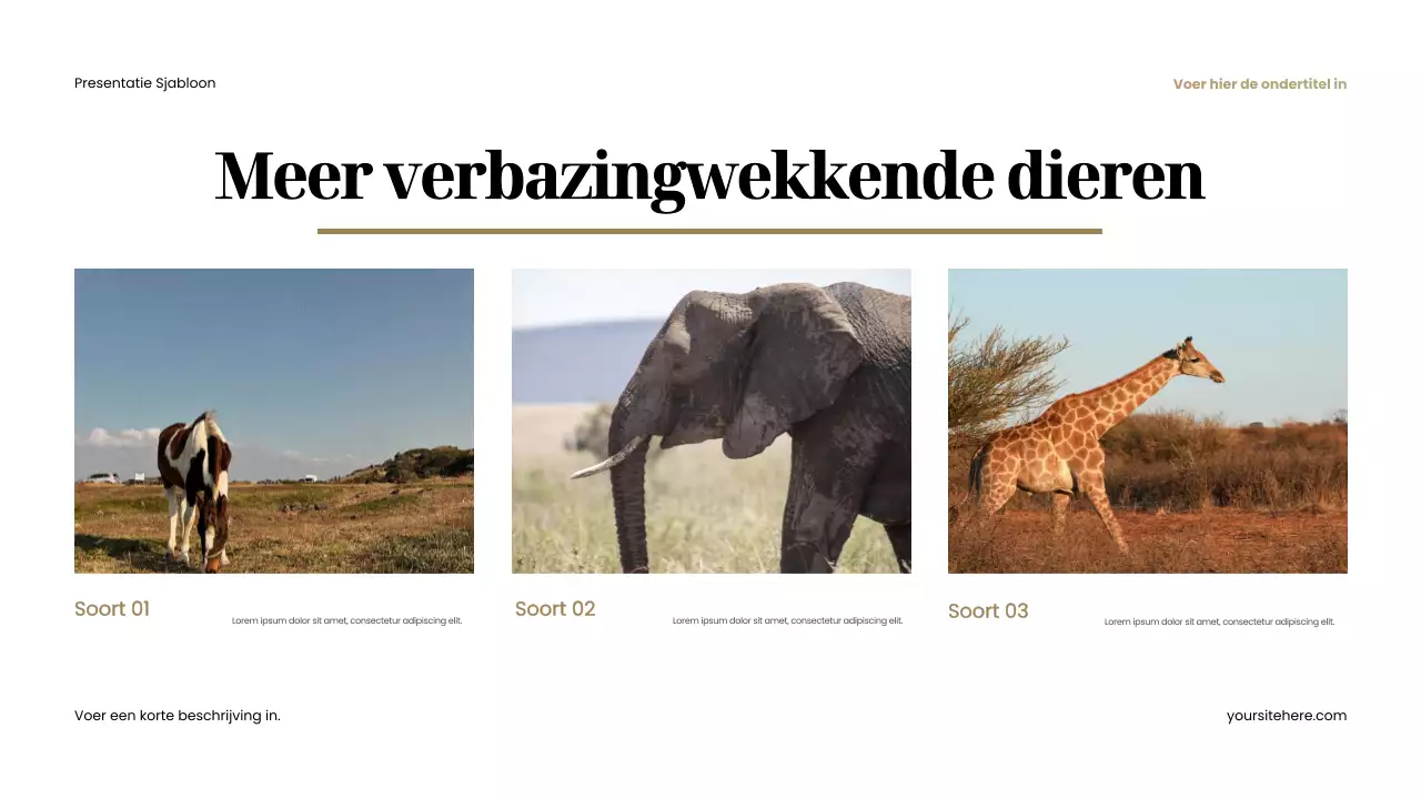 Bruine rustieke dierenpresentatie