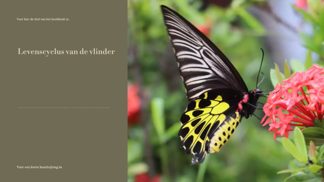 Presentatie van de Sage Minimal Nature Guide