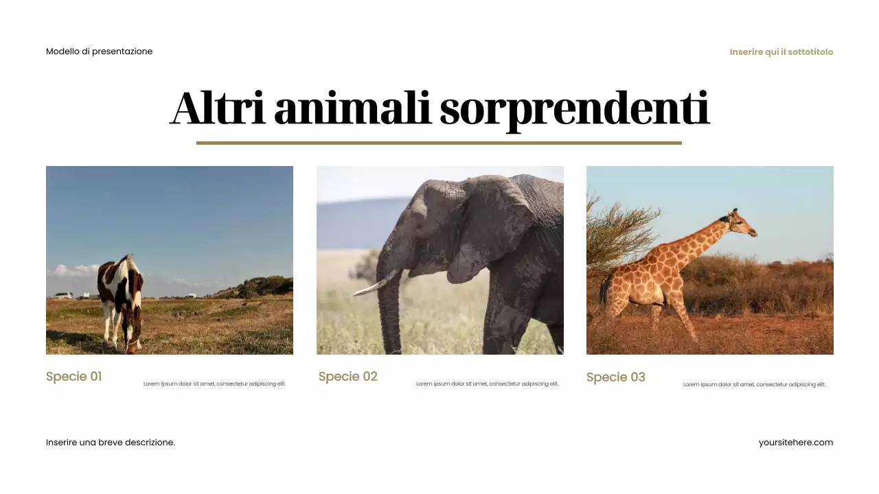 Presentazione di animali rustici marroni