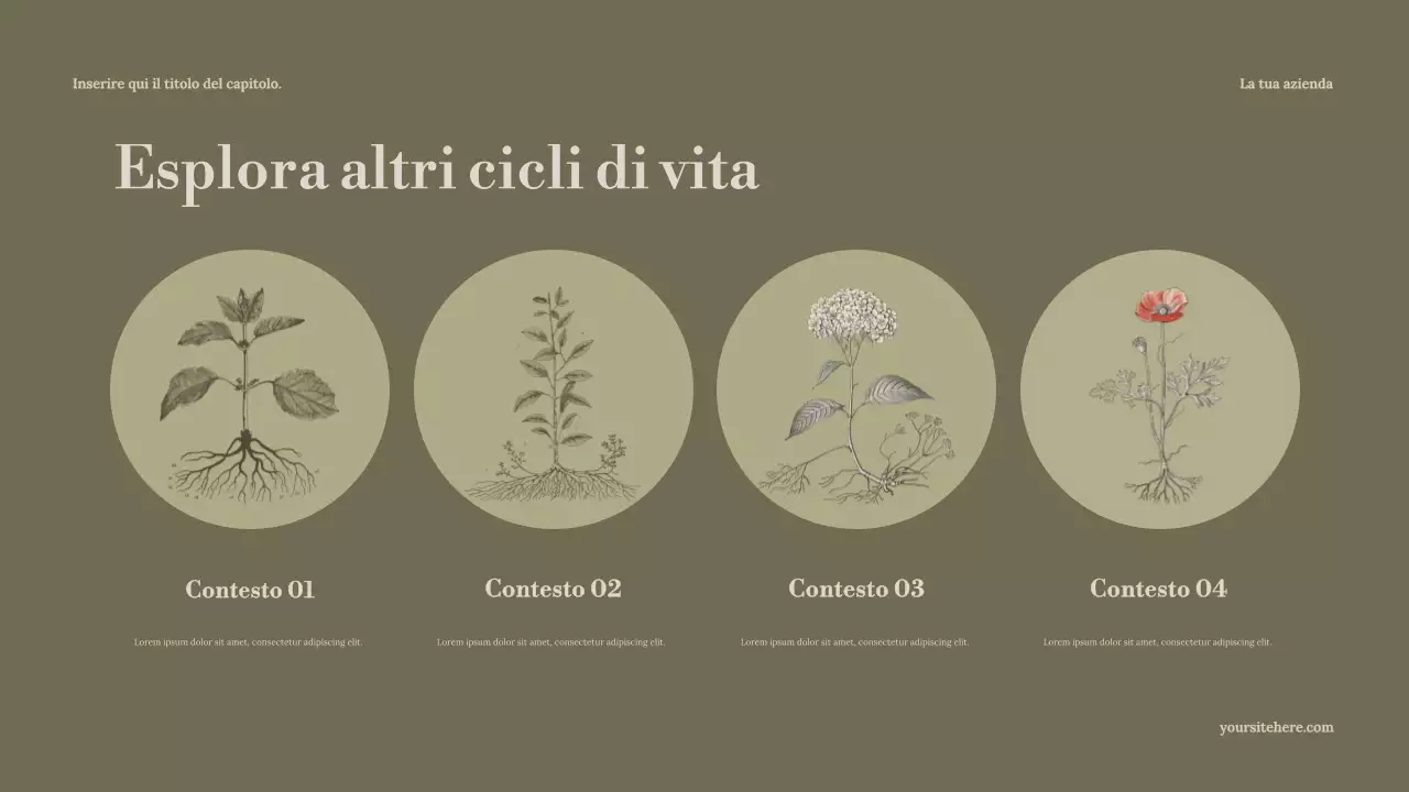 Presentazione della Guida alla Natura Minimale di Sage