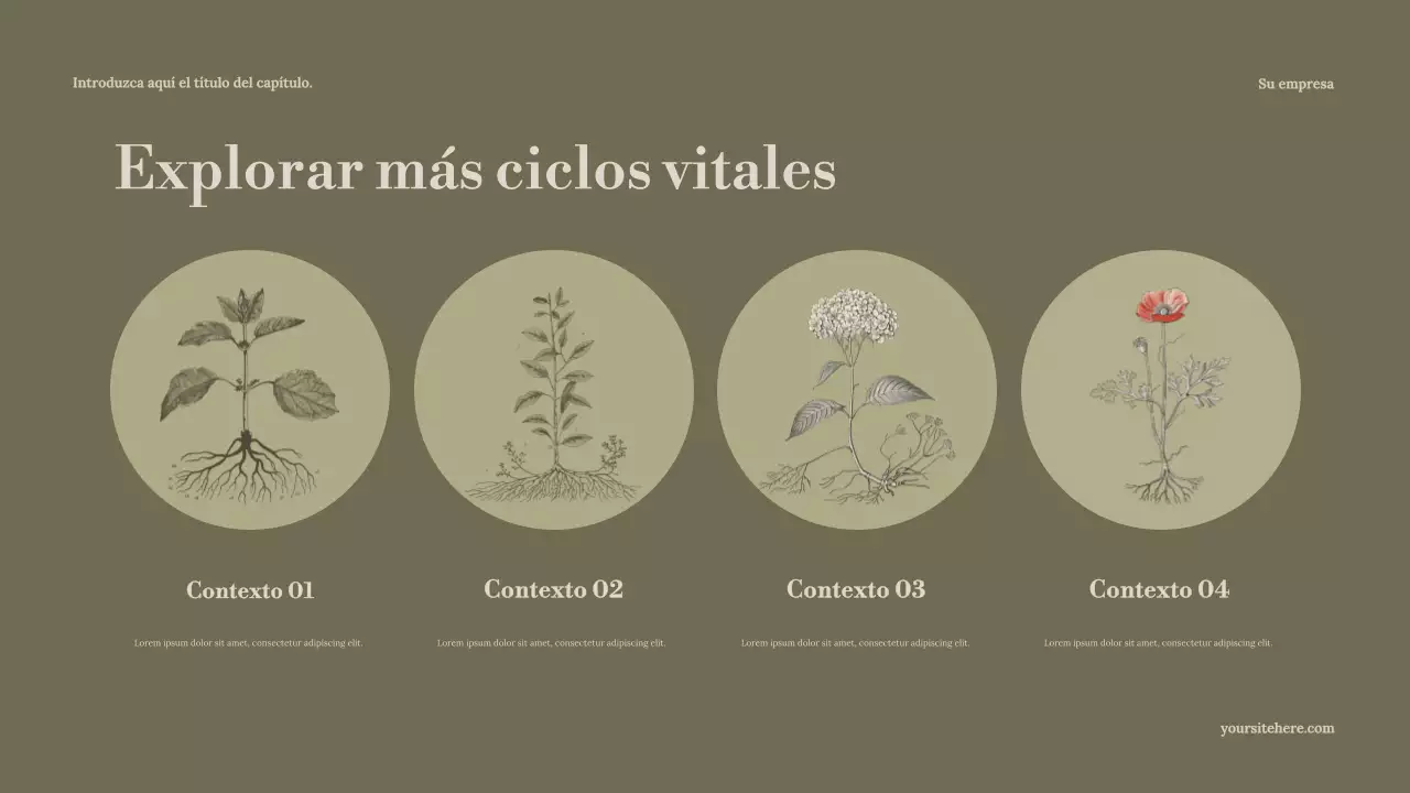 Presentación de la Guía de Naturaleza Minimalista de Sage