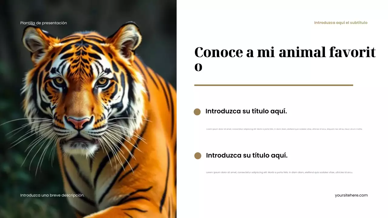 Presentación de animales rústicos marrones