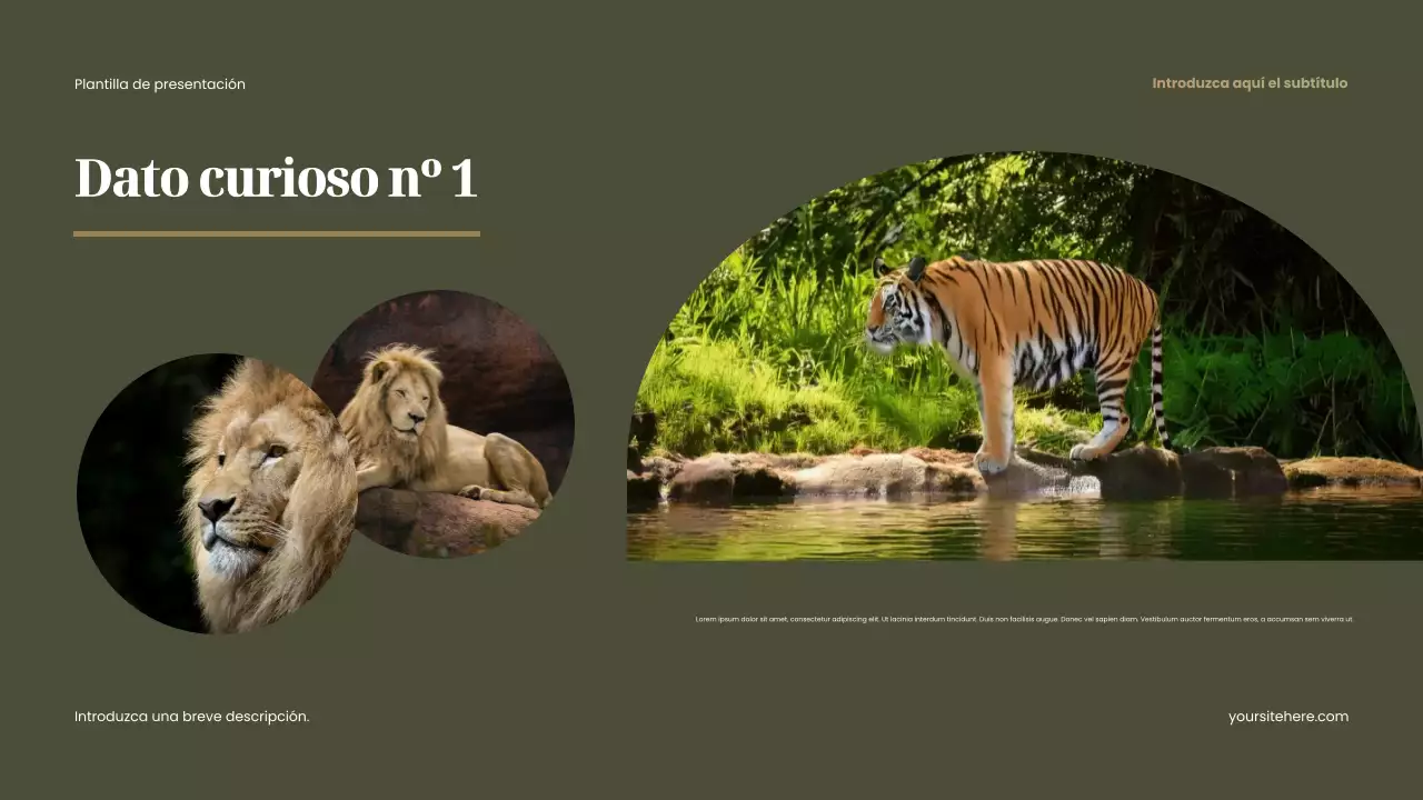 Presentación de animales rústicos marrones