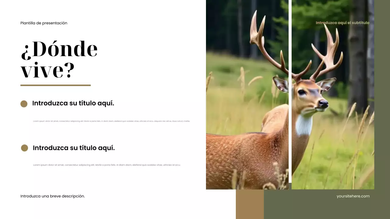 Presentación de animales rústicos marrones