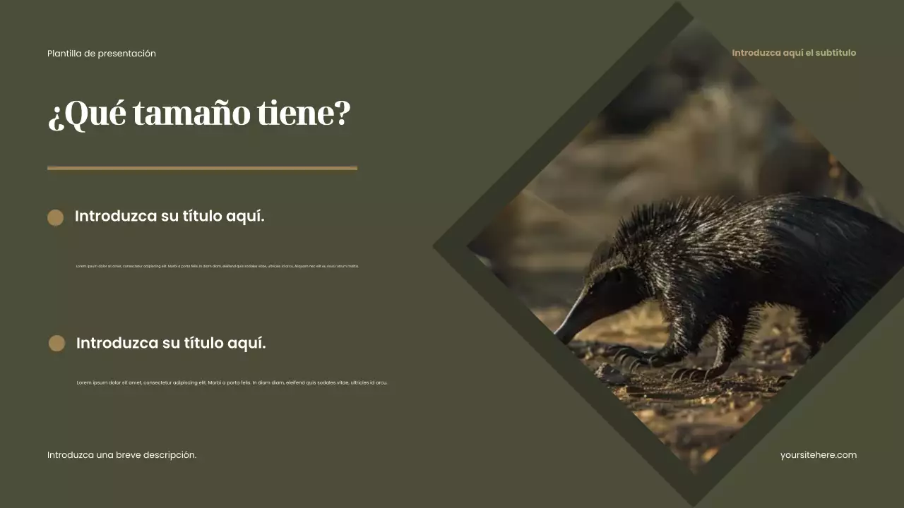 Presentación de animales rústicos marrones