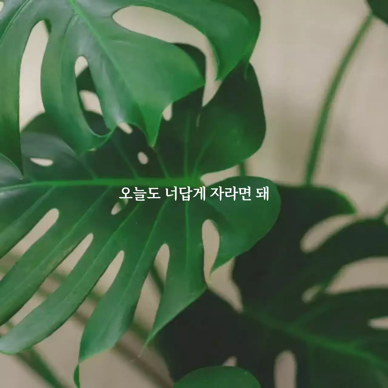 초록 자연 생활