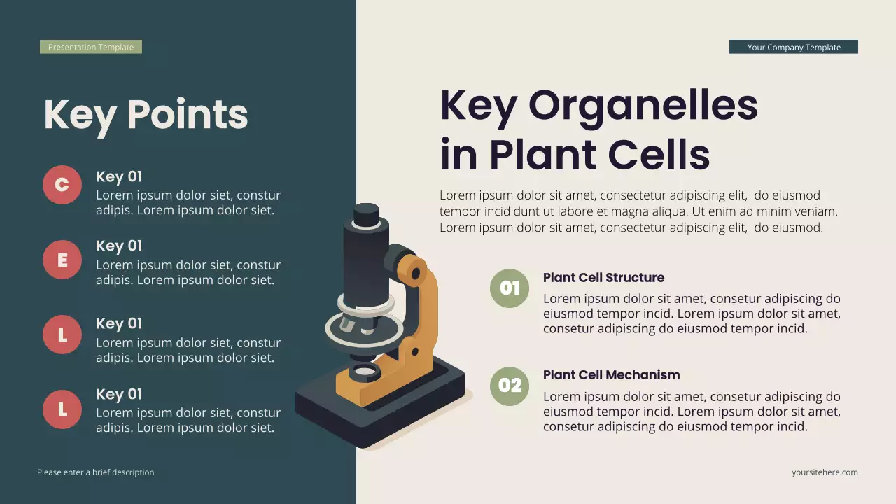 Teal Modern Isometric Biology Lecture Presentation