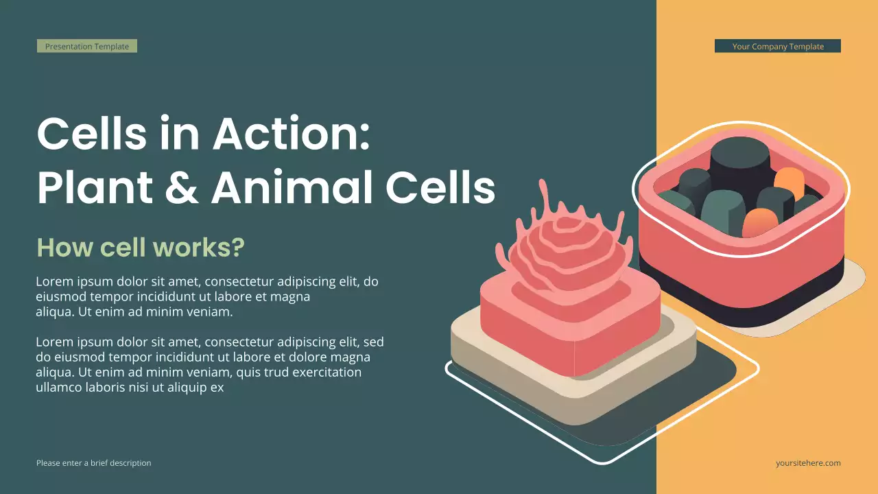 Teal Modern Isometric Biology Lecture Presentation