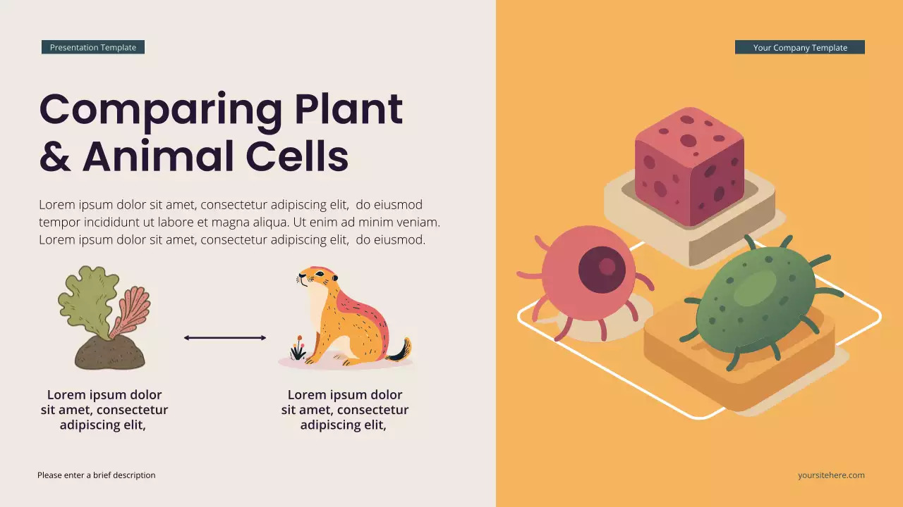 Teal Modern Isometric Biology Lecture Presentation