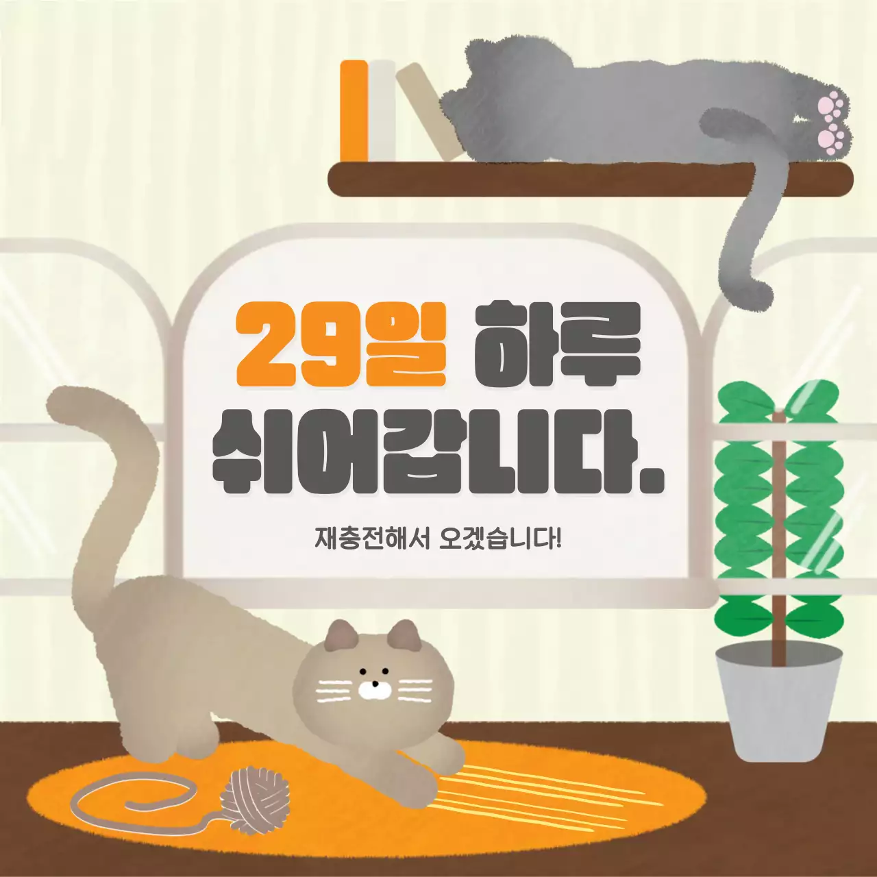고양이 카드뉴스